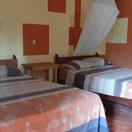 Centro Ecoturistico Ya'Ajche Otel Lacanjá Dış mekan fotoğraf