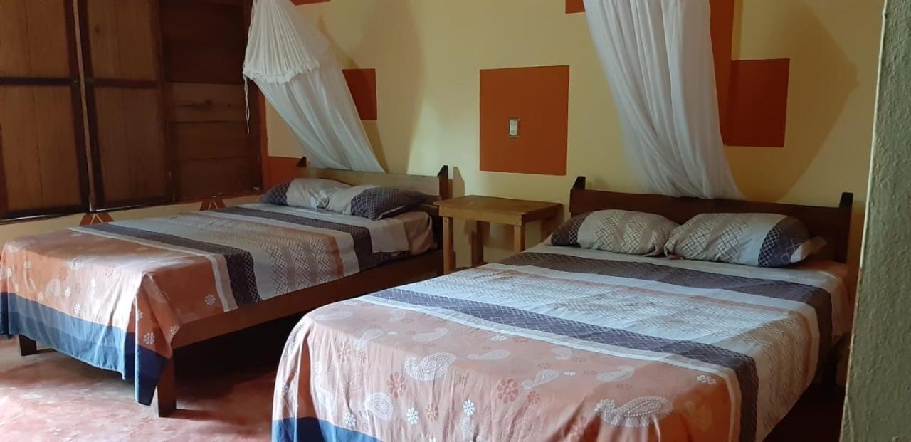 Centro Ecoturistico Ya'Ajche Otel Lacanjá Dış mekan fotoğraf