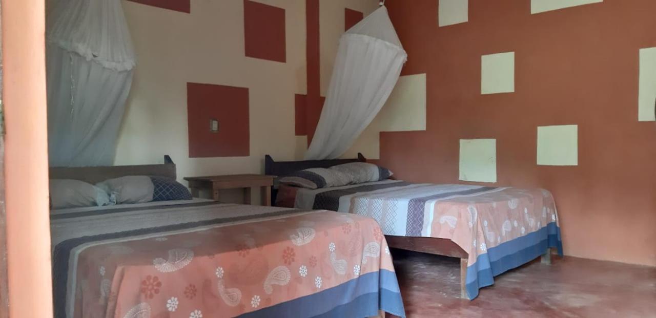 Centro Ecoturistico Ya'Ajche Otel Lacanjá Dış mekan fotoğraf