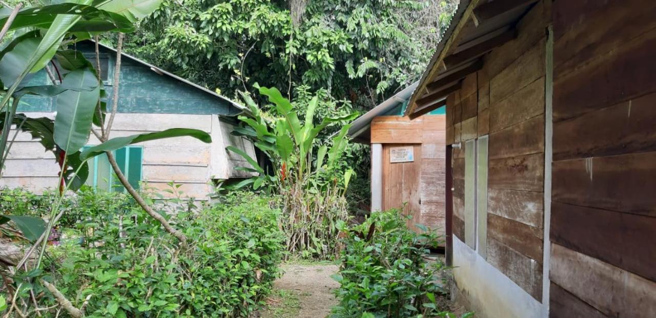 Centro Ecoturistico Ya'Ajche Otel Lacanjá Dış mekan fotoğraf