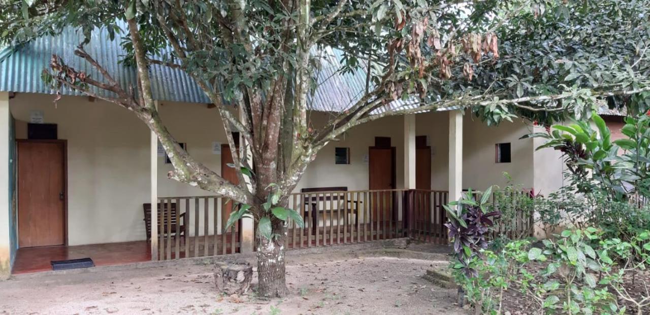 Centro Ecoturistico Ya'Ajche Otel Lacanjá Dış mekan fotoğraf