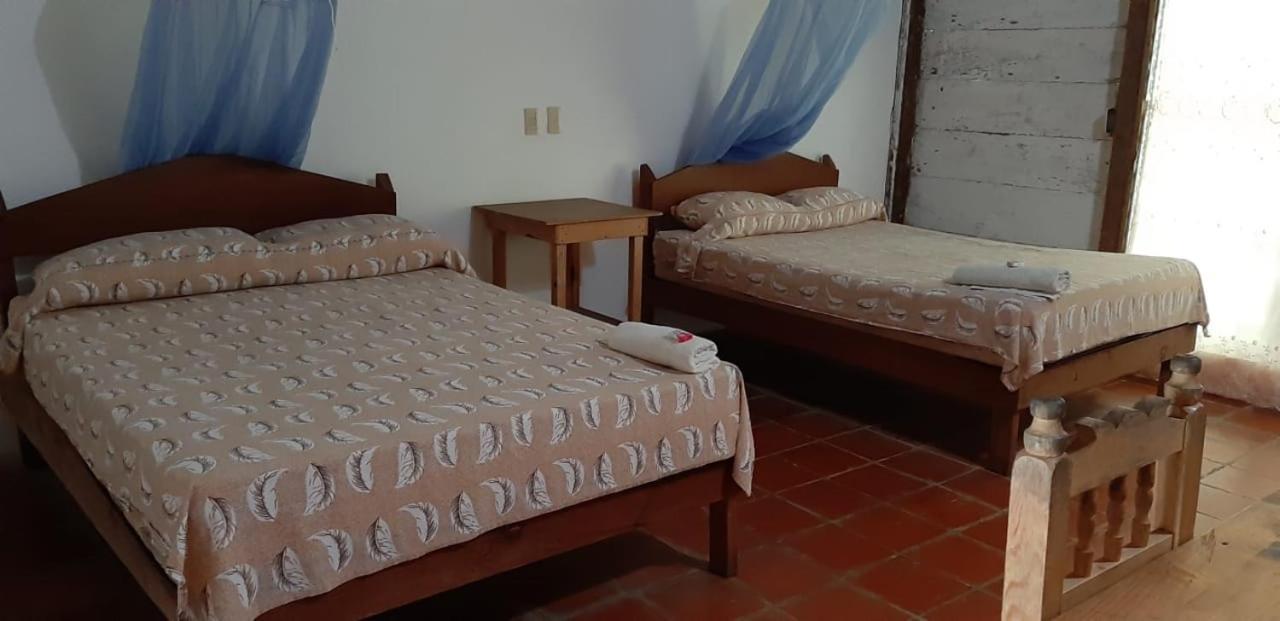 Centro Ecoturistico Ya'Ajche Otel Lacanjá Dış mekan fotoğraf