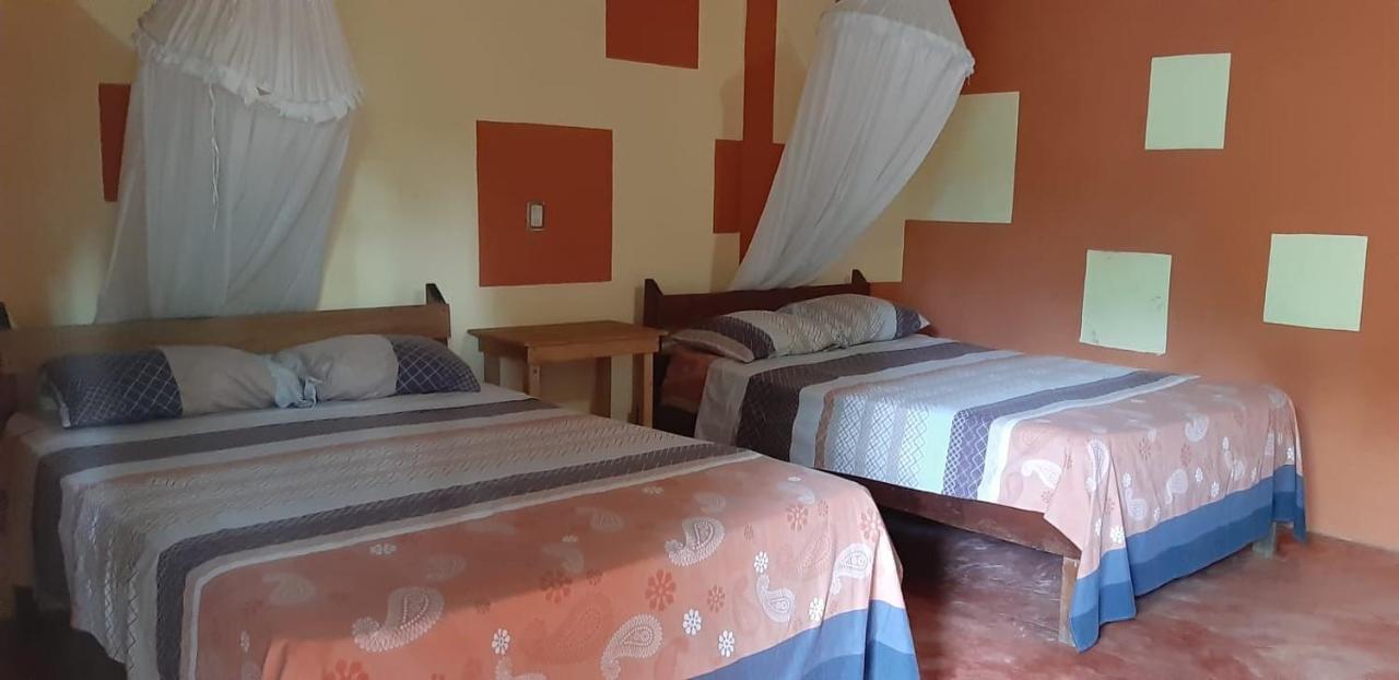 Centro Ecoturistico Ya'Ajche Otel Lacanjá Dış mekan fotoğraf