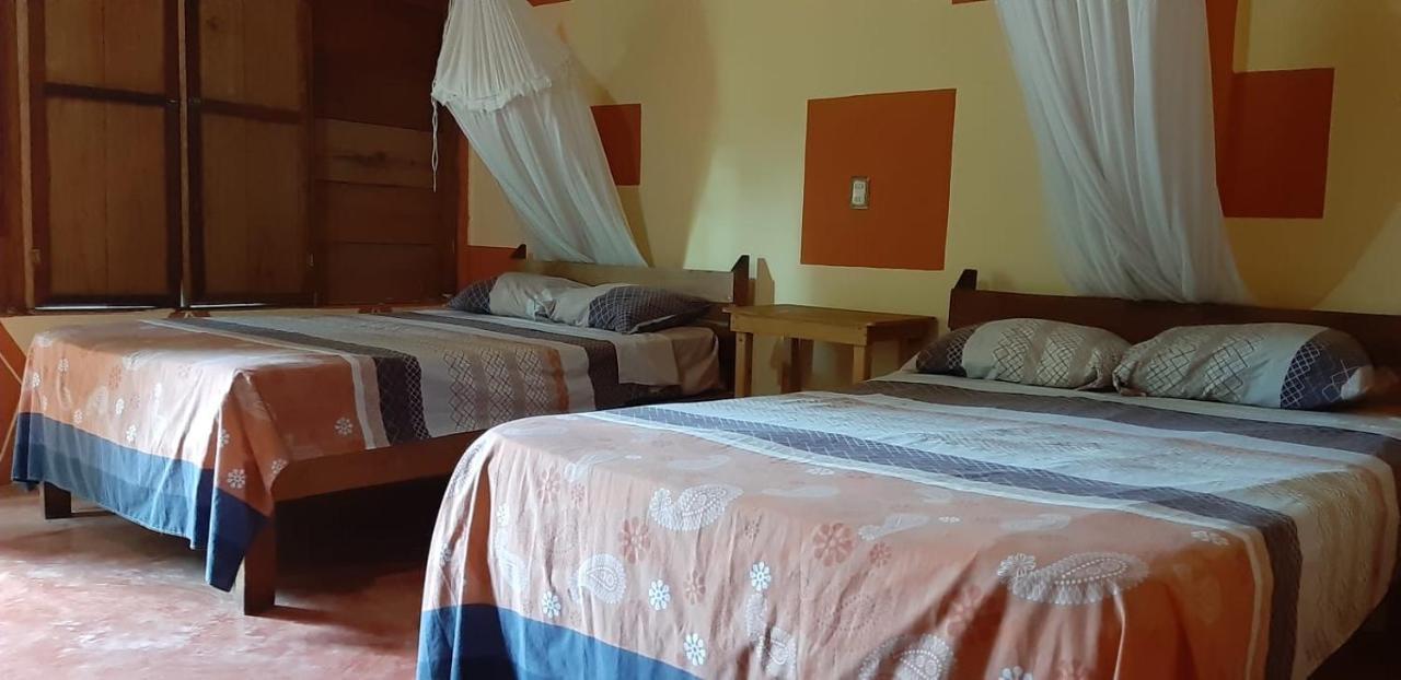 Centro Ecoturistico Ya'Ajche Otel Lacanjá Dış mekan fotoğraf
