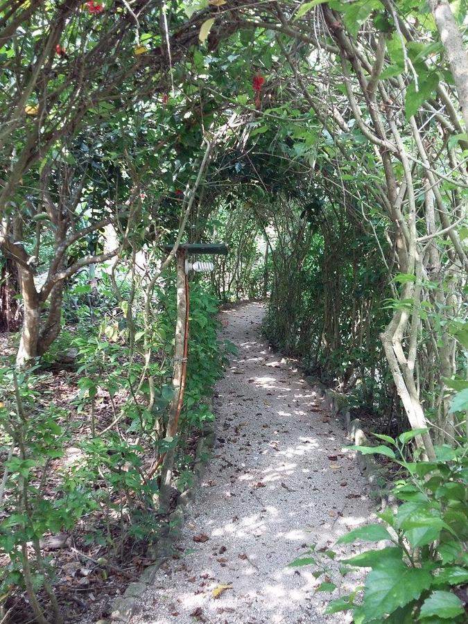 Centro Ecoturistico Ya'Ajche Otel Lacanjá Dış mekan fotoğraf